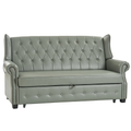 Ruedi Vegan Leather Sleeper Sofa in Sage