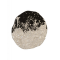 Wisp Wall Tile | Chamcha Wood – Silver Leaf on Black