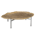 Petrified Wood Tray | Stainless Steel Base – Assorted Styles and Sizes