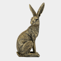 Jamie Bunny
