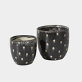 Spotted Dot Pot