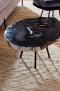 Petrified Coffee Table