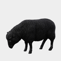 Sheep Sculpture – Life-Sized Black Sheep Resin Décor Accent