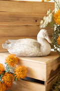 Faux Concrete Pin Tail Duck