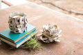 Oyster Shell Flower Votive Holder