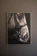 Black & White Side View Horse with Silver Frame Acrylic Painting