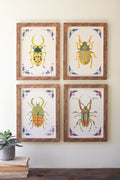 Set of Four Framed Beetles Paintings