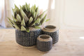Set of Three Dark Blue Knobby Ceramic Pots