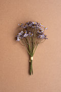 Chamomile Bundle (6 Stems) - Lavender