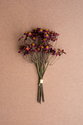 Chamomile Bundle (6 Stems) - Burgandy