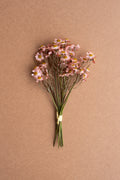 Chamomile Bundle (6 Stems) - Blush