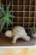 Faux Concrete - Turtle