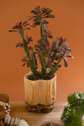 Recycled Firwood Vessel on A Mulberry Root Base