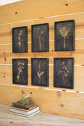 Set of Six Botanical Prints Under Glass