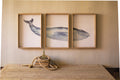 Triptych Framed Whale Print Under Glass