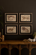 Set of Four Framed Animal Prints Under Glass