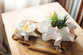 Set of Two Organic Ceramic Planters