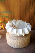 Organic White Ceramic Compote