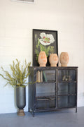 Short Iron and Glass Apothecary Cabinet