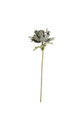 Botanica #3240