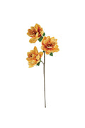 Botanica #3514