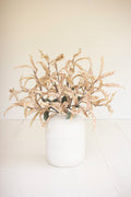Botanica #3608