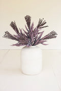 Botanica #3615