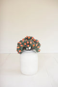 Botanica #3639