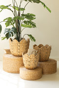 Set of Three Water Hyacinth Baskets with Wavy Rims