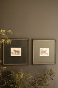Set of Two Framed Horses Print Under Glass