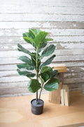 Artificial Potted Fiddle Leaf Fig in A Black Pot