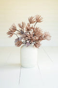 Botanica #2664