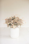 Botanica #2848