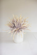 Botanica #2849