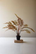 Artificial Yellow Fern in A Black Pot