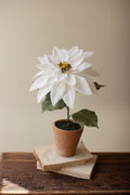 Artificial Poinsettia in A Cement Pot - White