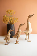Set of Three Carved Bamboo Ducks