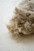 Large Bundle of Natural Pampass Grass