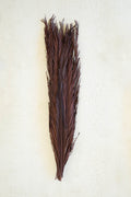 Bundle of 12 Khejur Leaves - Dark Brown