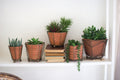 Set of Five Terracotta Planters with Wire Wrap & Brass Detail