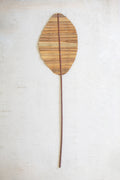 Tear Drop Natural Hogla Leaf with Stem