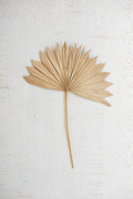 Large Natural Sun Palm Spear