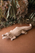 Natural Terracotta Alligator