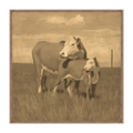 Morning Pastures