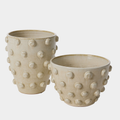 Hanover Collection
