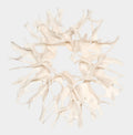 Faux Bleached Cast Root Wall Decor – Large Resin Sculpture