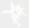 Contour Cast Root Flower Wall Art