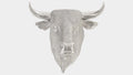 Spanish Fighting Bull Wall Art