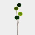 Set of 12 Green Decorative Pick
