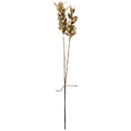 Gilded Bakuli Pine Stick Set
